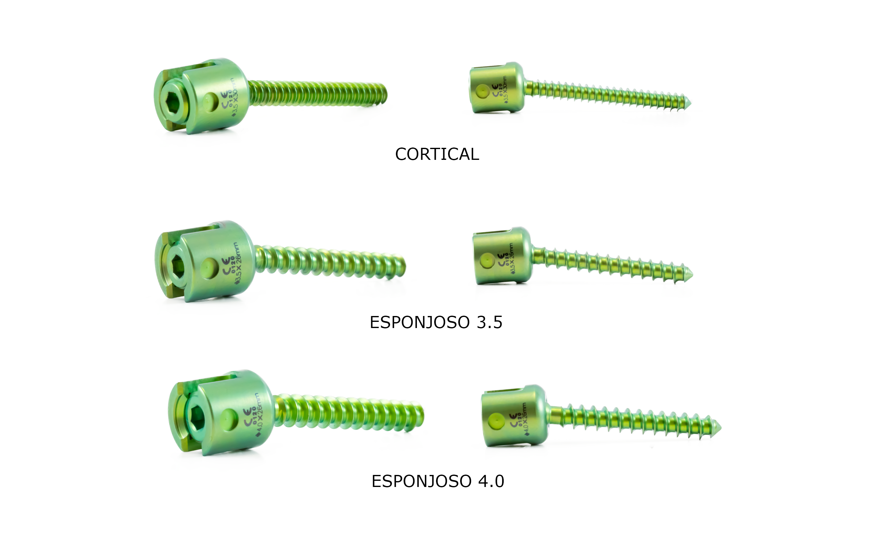 _TORNILLOS-PARA-FUSION-OCCIPITO-CERVICAL